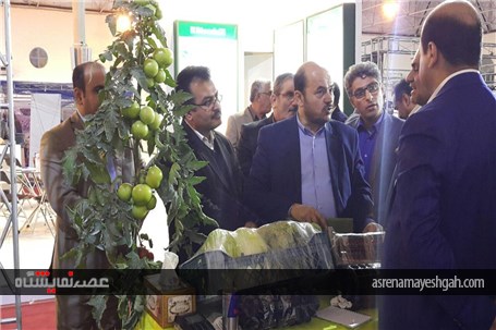 گزارش تصویری نخستین نمایشگاه کشاورزی ، شیلات و آبزیان استان بوشهر