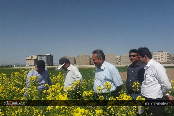 گزارش تصویری بازدید مدیران وزارت جهاد و کشاورزی از آماده سازی نخستین نمایشگاه روزهای مزرعه ایران