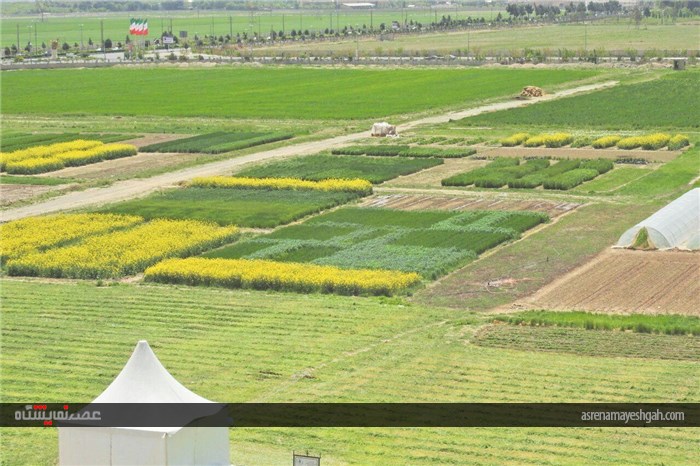 گزارش تصویری بازدید مدیران وزارت جهاد و کشاورزی. از آماده سازی نخستین نمایشگاه روزهای مزرعه ایران