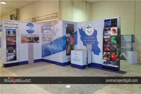 گزارش تصویری آماده سازی نمایشگاه شیلات تهران