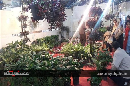 گزارش تصویری برگزاری نمایشگاه سوغات، هدایا و گل و گیاه در سمنان