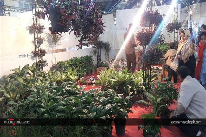 گزارش تصویری برگزاری نمایشگاه سوغات، هدایا و گل و گیاه در سمنان