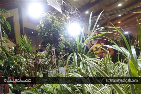 گزارش تصویری نمایشگاه گل و گیاه قم