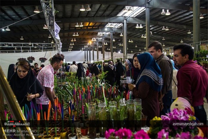 نمایشگاه گل و گیاه در یزد