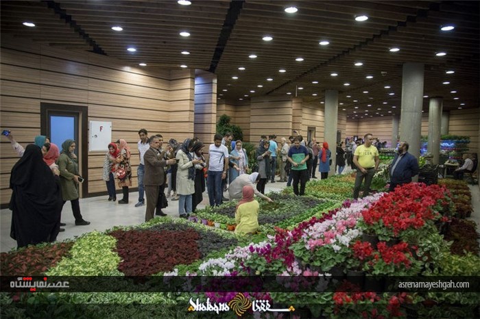 گزارش تصویری شانزدهمین نمایشگاه گل و‌گیاه در تهران
