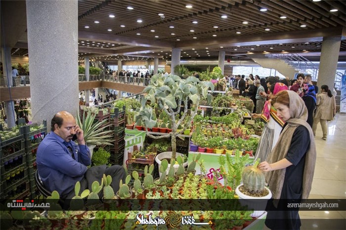 گزارش تصویری شانزدهمین نمایشگاه بین‌المللی گل و‌گیاه در تهران