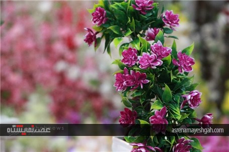 گزارش تصویری ششمین نمایشگاه گل و گیاه در اصفهان