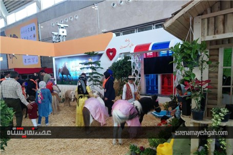 گزارش تصویری اولین نمایشگاه اسب آماده افتتاح