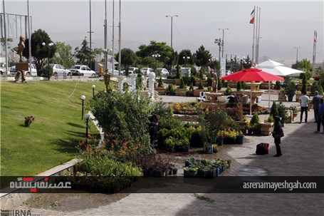 گزارش تصویری ششمین نمایشگاه گل و گیاه زنجان