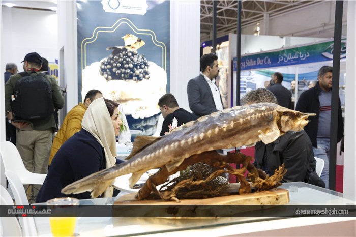 گزارش تصویری هفتمین نمایشگاه بین المللی شیلات، آبزیان، ماهیگیری، غذاهای دریایی و صنایع وابسته تهران