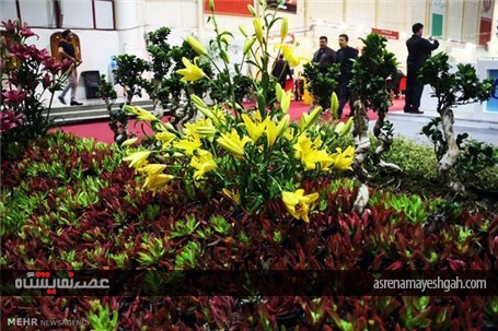 گزارش تصویری ششمین نمایشگاه شهر ایده آل در جزیره کیش‎