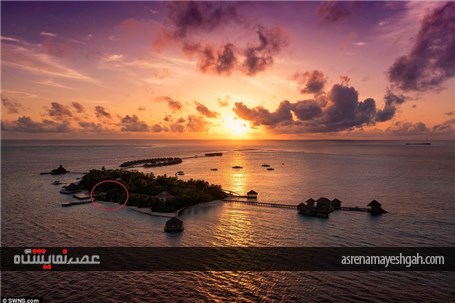 گزارش تصویری نمایشگاه و گالری مالدیو
