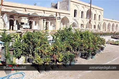 گزارش تصویری افتتاح نمایشگاه گل و درختان آپارتمانی برازجان