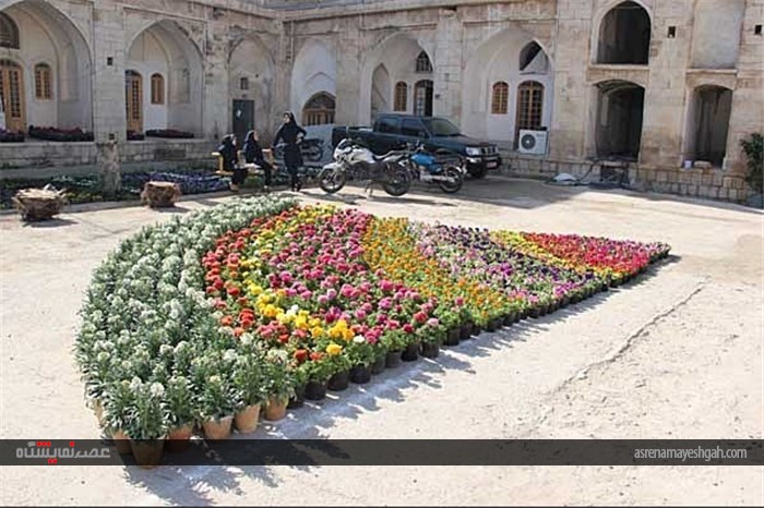 گزارش تصویری افتتاح نمایشگاه گل و درختان آپارتمانی برازجان