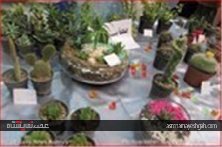 گزارش تصویری نمایشگاه نوروزی در تبریز