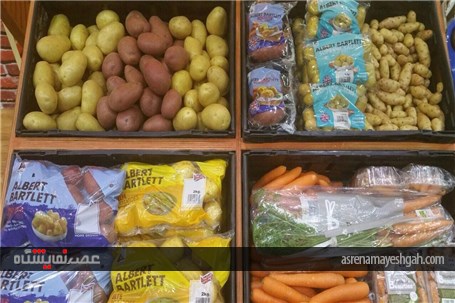 گزارش تصویری نمایشگاه گلفود دوبی
