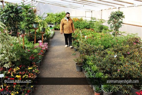 گزارش تصویری نمایشگاه گل های زینتی و آپارتمانی در شهرستان خوی