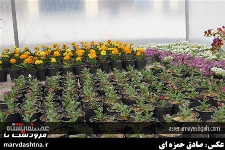 گزارش تصویری برپایی نمایشگاه گل و گیاه در مرودشت