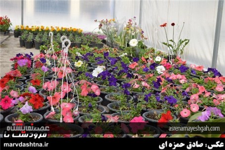 گزارش تصویری برپایی نمایشگاه گل و گیاه در مرودشت