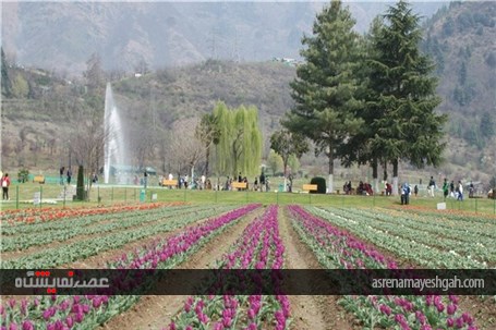 گزارش تصویری نمایشگاه گل بهاری در کشمیر