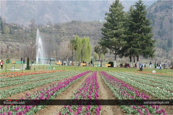 گزارش تصویری نمایشگاه گل بهاری در کشمیر