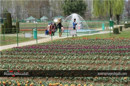 گزارش تصویری نمایشگاه گل بهاری در کشمیر