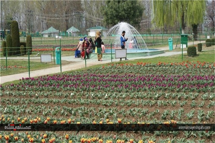 گزارش تصویری نمایشگاه گل بهاری در کشمیر