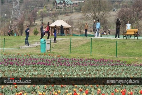 گزارش تصویری نمایشگاه گل بهاری در کشمیر