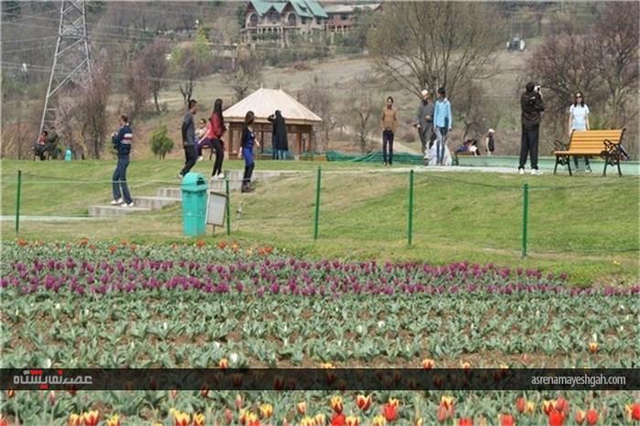 گزارش تصویری نمایشگاه گل بهاری در کشمیر