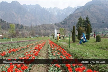 گزارش تصویری نمایشگاه گل بهاری در کشمیر