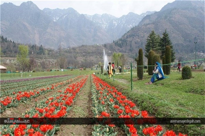 گزارش تصویری نمایشگاه گل بهاری در کشمیر