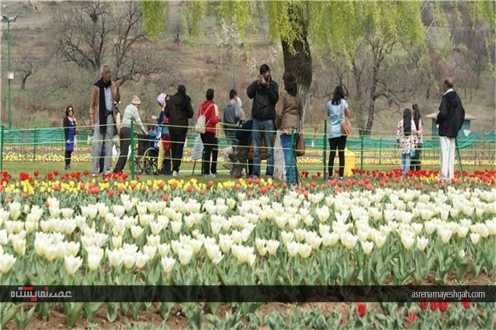 گزارش تصویری نمایشگاه گل بهاری در کشمیر
