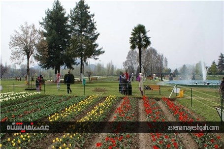 گزارش تصویری نمایشگاه گل بهاری در کشمیر