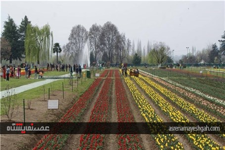 گزارش تصویری نمایشگاه گل بهاری در کشمیر