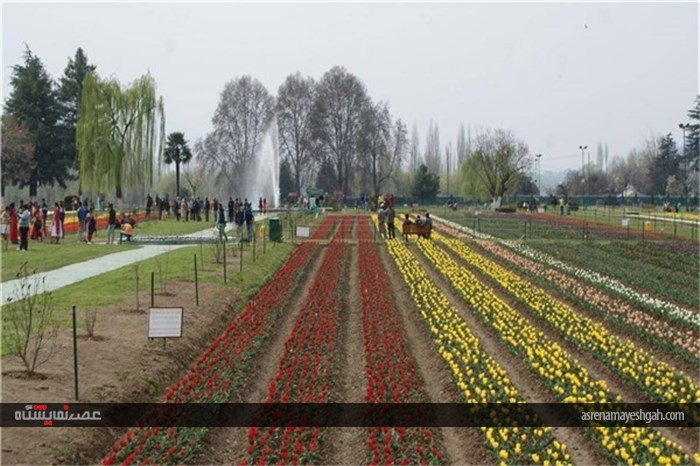 گزارش تصویری نمایشگاه گل بهاری در کشمیر