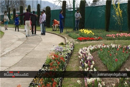 گزارش تصویری نمایشگاه گل بهاری در کشمیر