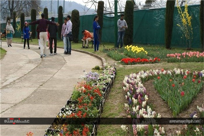 گزارش تصویری نمایشگاه گل بهاری در کشمیر
