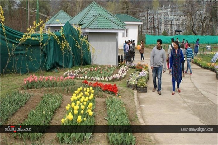 گزارش تصویری نمایشگاه گل بهاری در کشمیر