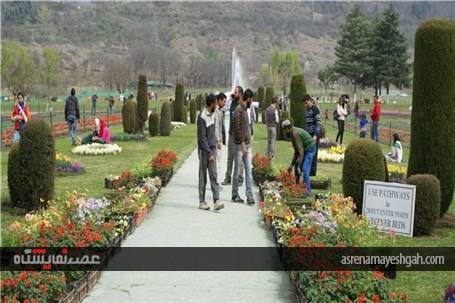 گزارش تصویری نمایشگاه گل بهاری در کشمیر