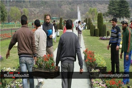 گزارش تصویری نمایشگاه گل بهاری در کشمیر