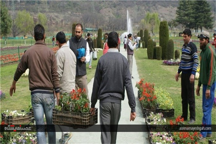 گزارش تصویری نمایشگاه گل بهاری در کشمیر