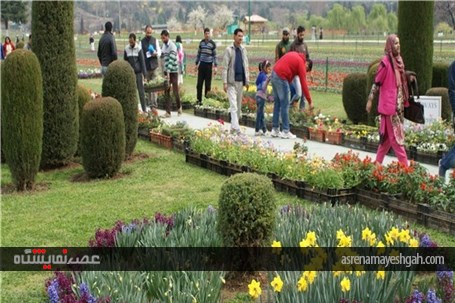 گزارش تصویری نمایشگاه گل بهاری در کشمیر