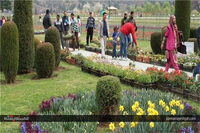 گزارش تصویری نمایشگاه گل بهاری در کشمیر