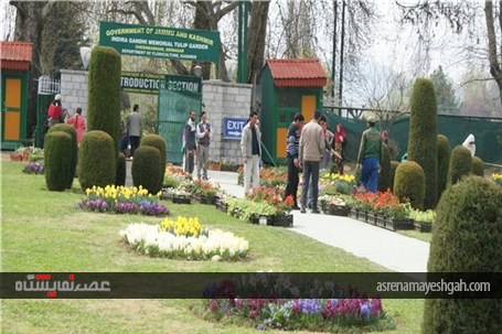 گزارش تصویری نمایشگاه گل بهاری در کشمیر