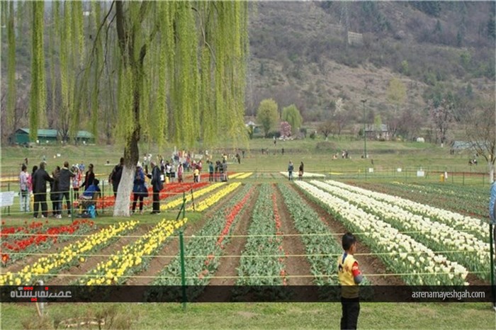 گزارش تصویری نمایشگاه گل بهاری در کشمیر
