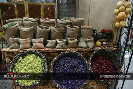 گزارش تصویری نمایشگاه گل و گیاه اصفهان