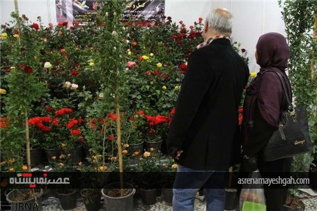 گزارش تصویری پنجمین نمایشگاه تخصصی گل و گیاه، ماهیان و پرندگان زینتی اصفهان
