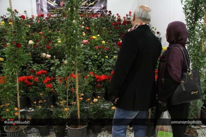 گزارش تصویری پنجمین نمایشگاه تخصصی گل و گیاه، ماهیان و پرندگان زینتی اصفهان