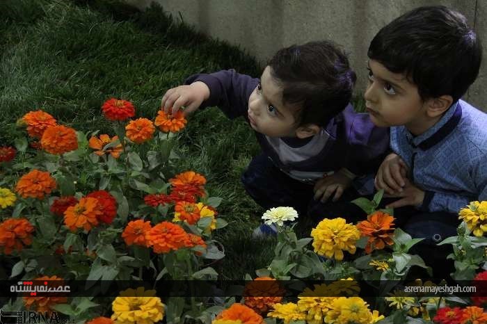 گزارش تصویری پنجمین نمایشگاه تخصصی گل و گیاه، ماهیان و پرندگان زینتی اصفهان