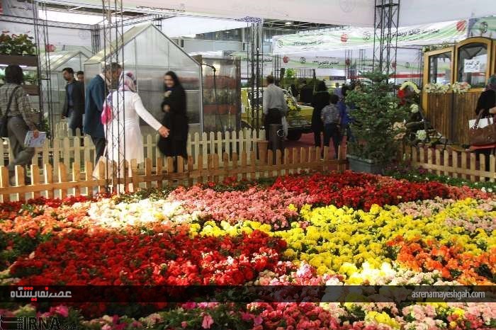 گزارش تصویری پنجمین نمایشگاه تخصصی گل و گیاه، ماهیان و پرندگان زینتی اصفهان